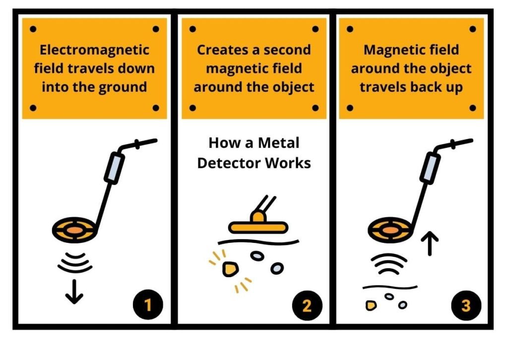 How Do Metal Detectors Work? The Science of Magnetism and Metal
